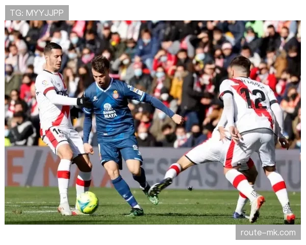 汉堡进攻套路全面升级，新战术激活球队状态，球迷热盼精彩对决